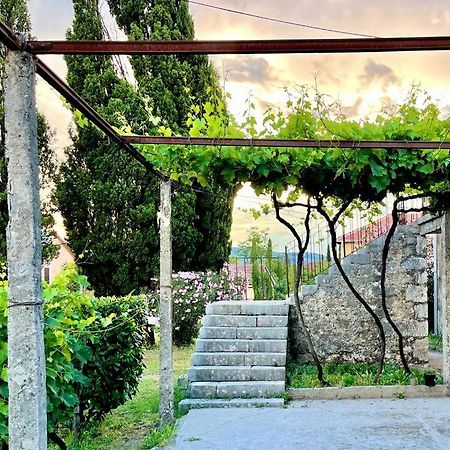 Apartman Boljevic Подгориця Екстер'єр фото