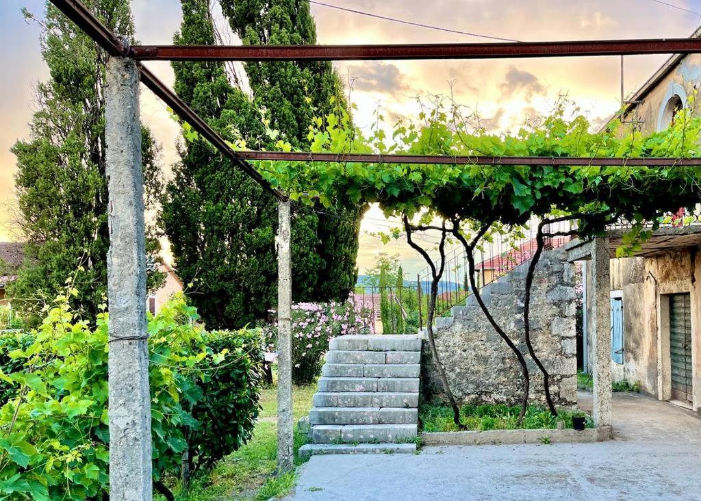 Apartman Boljevic Подгориця Екстер'єр фото